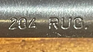 New .204 Ruger First Shots  Cz 527