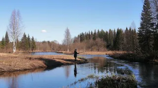 🚣‍♂️Сплав по реке Ваймуга 13-15 мая 2023 г🚣‍♀️