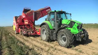 Уборка картофеля в СПК "Гигант"(2023): Deutz-Fahr 6215,Grimme SE 150-60,SE 260,МАЗ 5551,6501,ГАЗ-66