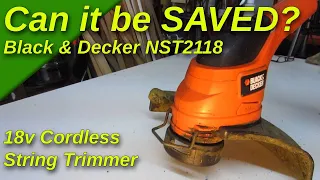 Can it Be Saved?  My NST2118 Black & Decker 18v Cordless String Trimmer is making a SCREECHING NOISE