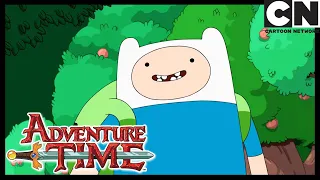 Finn | Время приключений | Cartoon Network