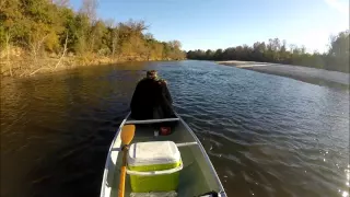 Leaf River Mississippi