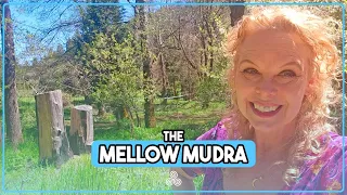 The Mellow Mudra