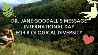 Dr. Jane Goodall's Message for International Day for Biological Diversity 2023