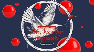 AYU (UA), Air Project – Ой, летіли журавлі (Arsanit Remix)