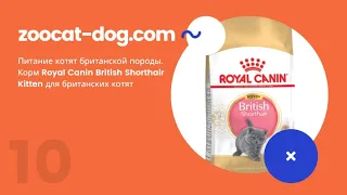 Обзор 10. Питание котят британской породы. Корм Royal Canin British Kitten для британских котят