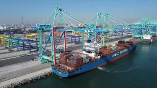 GLOBALink | World's first smart zero-carbon terminal opens at China's Tianjin Port