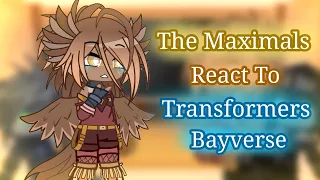 Maximals React to Transformers Bayverse || Transformers ROTB || Gacha ||