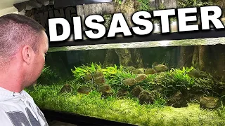 The Piranha Aquarium Disaster You Didn't Know About