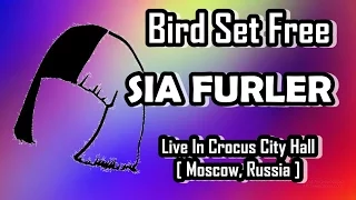 Sia - Bird Set Free [ Live Crocus City Hall Moscow, Russia ]