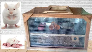 DIY AMAZING RAT CAGE | Easy and Safe