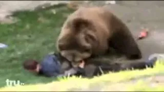 Медведь напал на человека в зоопарке!