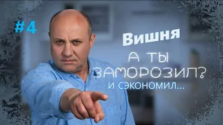 Борщ с вишней. Вареники с вишней. Вишнёвое варенье | Заморозил – сэкономил №4 | Илья Лазерсон