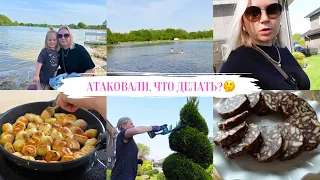 VLOG🇩🇪: 🐛КАК С НИМИ СПРАВЛЯТЬСЯ?!🙈ЖАРЕНЫЕ ПЕЛЬМЕНИ/ ПРОГУЛКА НА ВЕЛОСИПЕДЕ 🚴