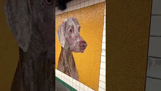 Мозаика из смальты на станции метро 23rd Street в Нью-Йорке