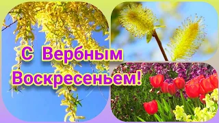 С Вербным Воскресеньем! С Праздником! Красивое поздравление С Вербным Воскресеньем. Видео открытка.