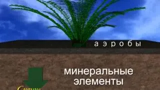 Причины истощения почв