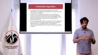 Los derechos de los pueblos indígenas en los Sistemas de protección de derechos humanos