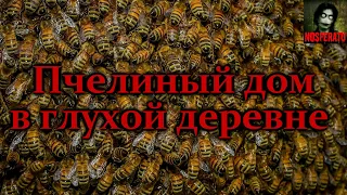 ПЧЕЛИНЫЙ ДОМ В ГЛУХОЙ ДЕРЕВНЕ. Страшные истории на ночь. Страшилки на ночь