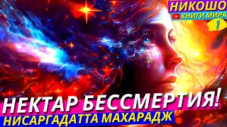 Нектар Настоящего Бессмертия! Полное Откровение Реального Просветленного! l Никошо и Нисаргадатта