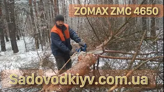 Бензопила Zomax ZMC 4650 валит сосны и розделывает их как по маслу!Sadovodkiyv.com.ua