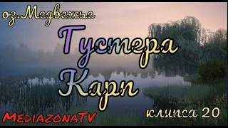 Русская Рыбалка 4 Где Клюет ? оз.Медвежье  Густера Карп 18.10