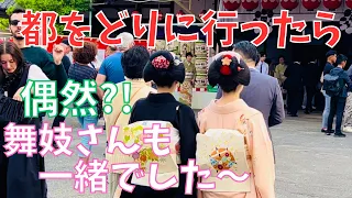 開催中の🌸都をどり🌸祇園甲部歌舞練場 に行って来ました~舞妓さんや外国人観光客の観覧で大賑わいです❗Maiko Gion Kyoto Japan