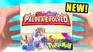 *NEW* Pokemon Paldea Evolved Booster Box Opening