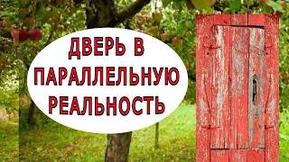 Как я повадилась в параллельный мир ходить, и как меня оттуда спровадили.