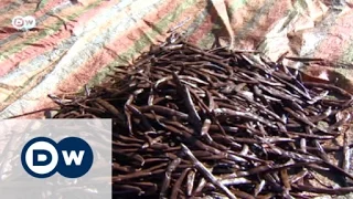 The scent of vanilla | DW Business