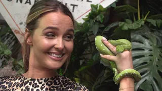 Camilla Luddington Close Encounter with Anaconda at the Tomb Raider Experience - Comic-Con 2018