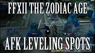 Final Fantasy XII: The Zodiac Age - AFK Leveling Spots (Negalmuur & Slimes)