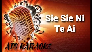 ANDY LAU - Sie sie ni te ai ( karaoke )