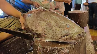 Giant Goliath Grouper Cutting Skills | Nice Cutting Style By Expert