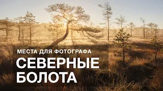 Места для ФОТОГРАФОВ. Северные болота. Арсений Кашкаров