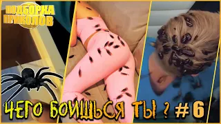 Чего боишься ты? #6 | ИСПУГИ ЛЮДЕЙ | Подборка приколов. #приколы #fails