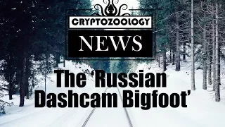 Real or Hoax? Dashcam Captures "White Bigfoot" in Russia