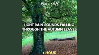 Light Rain Sounds Falling Through the Autumn Leaves: One Hour