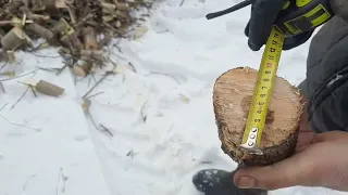 ВІДЕО ВІДГУК! Подрібнювач гілок до трактору. Подрібнювач гілок від заводу SHKIV