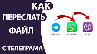 Как переслать Фото, Видео С Телеграма в Viber или WhatsApp на Айфон или Андроид