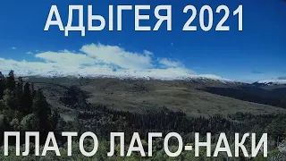 АДЫГЕЯ 2021/ПЛАТО ЛАГО-НАКИ/ДОСТОПРИМЕЧАТЕЛЬНОСТИ