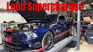 Trinity Swapped 2012 GT500 - What will it make?