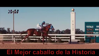 La historia de Secretariat el mejor caballo de carreras del mundo 🏇🏇