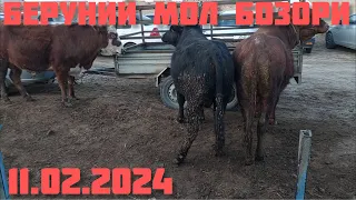 БЕРУНИЙ МОЛ БОЗОРИ 1-КИСМ 11.02.2024