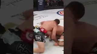 Fedor vs Mitrione double KO