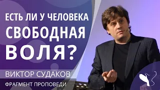 Виктор Судаков – Есть ли у человека свободная воля? (Ответы на вопросы)