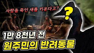 이정도 클라스라고? 1만 8천 년전 원주민의 반려동물