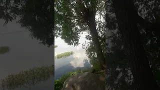 Плещеево озеро.Переславль-Залесский