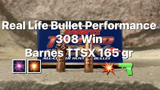 Real world bullet performance, 308 Win, Barnes TTSX 165 gr