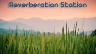 Reverberation Station [Psydub Mix]